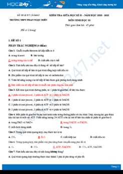 Bộ đề thi giữa HK2 môn Sinh 10 năm 2021 - Trường THPT Phan Ngọc Hiển có đáp án
