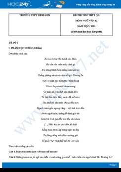 Bộ 5 đề thi thử THPT QG môn Ngữ văn năm 2021 trường THPT Bình Sơn