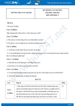Bộ 5 Đề thi HSG môn Sinh Học 8 năm 2021 Trường THCS Tân Thanh