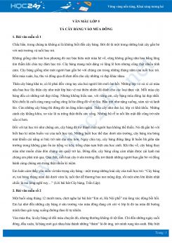 Tả cây bàng vào mùa đông - Văn mẫu lớp 5