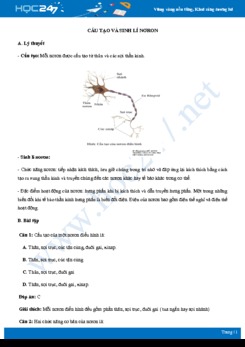 Kiến thức trọng tâm về tế bào thần kinh (Nơron) môn Sinh học 11