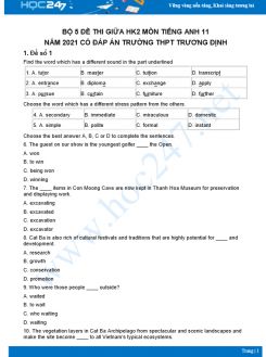 Bộ 5 đề thi giữa HK2 môn Tiếng Anh 11 có đáp án năm 2021 Trường THPT Trương Định