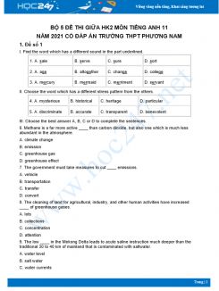 Bộ 5 đề thi giữa HK2 môn Tiếng Anh 11 có đáp án năm 2021 Trường THPT Phương Nam