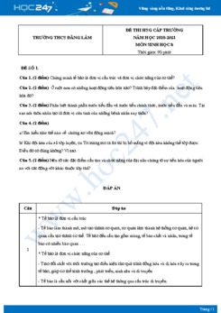 Bộ 5 Đề thi HSG môn Sinh Học 8 năm 2021 Trường THCS Đằng Lâm