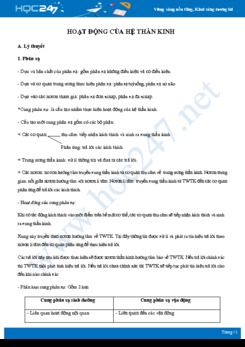 Tổng ôn các kiến thức trọng tâm về Hoạt động của hệ thần kinh Sinh học 11
