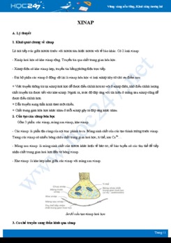 Lý thuyết và bài tập vận dụng các kiến thức trọng tâm Xinap môn Sinh học 11