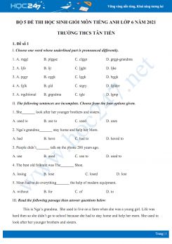 Bộ 5 đề thi học sinh giỏi môn Tiếng Anh lớp 6 năm 2021 Trường THCS Tân Tiến