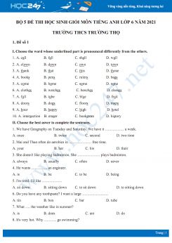 Bộ 5 đề thi học sinh giỏi môn Tiếng Anh lớp 6 năm 2021 Trường THCS Trường Thọ