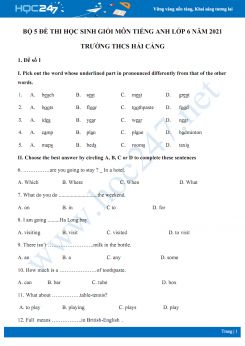 Bộ 5 đề thi học sinh giỏi môn Tiếng Anh lớp 6 năm 2021 Trường THCS Hải Cảng