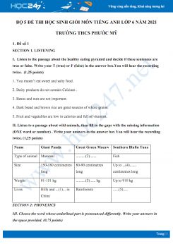Bộ 5 đề thi học sinh giỏi môn Tiếng Anh lớp 6 năm 2021 Trường THCS Phước Mỹ