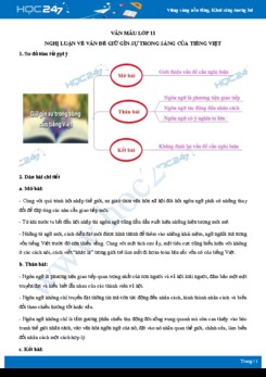 Nghị luận về vấn đề giữ gìn sự trong sáng của tiếng Việt