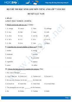 Bộ 5 đề thi học sinh giỏi môn Tiếng Anh lớp 7 năm 2021 Huyện Lục Nam