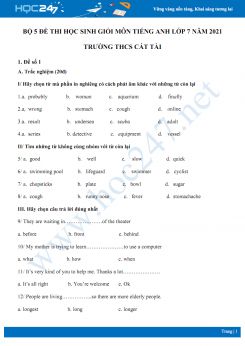 Bộ 5 đề thi học sinh giỏi môn Tiếng Anh lớp 7 năm 2021 Trường THCS Cát Tài