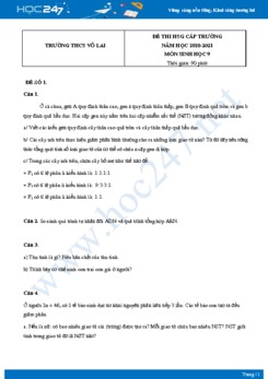 Bộ 5 Đề thi HSG môn Sinh Học 9 năm 2021 Trường THCS Võ Lai