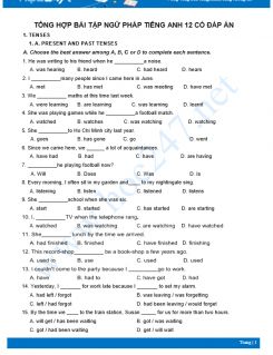 Tổng hợp bài tập ngữ pháp Tiếng Anh 12 có đáp án
