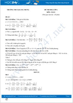 Bộ 5 đề thi chọn HSG môn Toán lớp 6 trường THCS Quang Trung