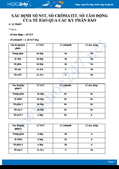 Phương pháp giải Xác định số NST, cromatic và tâm động qua các kỳ phân bào Sinh học 10