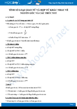 Phương pháp giải dạng Tính số loại giao tử và hợp tử khác nhau về nguồn gốc và cấu trúc NST Sinh 10