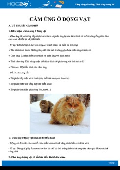 Tổng ôn các kiến thức về Cảm ứng ở động vật Sinh học 11