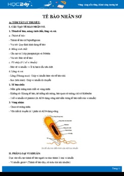 Lý thuyết và bài tập củng cố Các đặc điểm của tế bào nhân sơ Sinh học 10