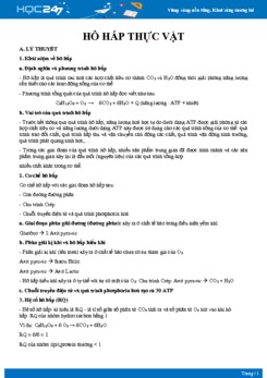 Lý thuyết và bài tập ôn tập Hô hấp ở thực vật Sinh học 11