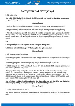 Tổng hợp các câu hỏi ôn tập Hô hấp ở thực vật Sinh học 11 có đáp án