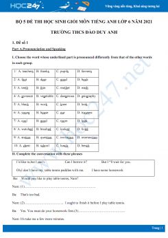 Bộ 5 đề thi học sinh giỏi môn Tiếng Anh lớp 6 năm 2021 Trường THCS Đào Duy Anh