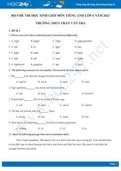 Bộ 5 đề thi học sinh giỏi môn Tiếng Anh lớp 6 năm 2021 Trường THCS Trần Văn Trà