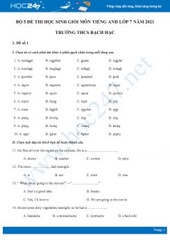 Bộ 5 đề thi học sinh giỏi môn Tiếng Anh lớp 7 năm 2021 Trường THCS Bạch Hạc