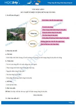 Suy nghĩ về hiện tượng rừng bị tàn phá