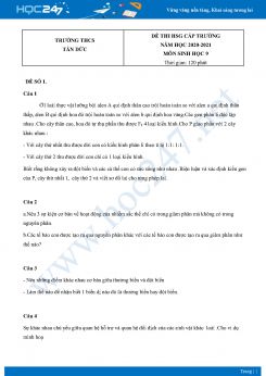 Bộ 5 Đề thi HSG môn Sinh Học 9 năm 2021 Trường THCS Tân Đức có đáp án