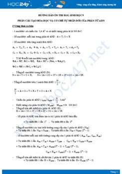 Ôn thi HSG chủ đề Cấu tạo hóa học và cơ chế tự nhân đôi của ADN môn Sinh học 9 năm 2021