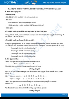 Phương pháp Xác định trình tự nucleotit trên phân tử ADN hoặc ARN Sinh học 10