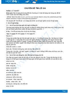 Chuyên đề Tìm lỗi sai