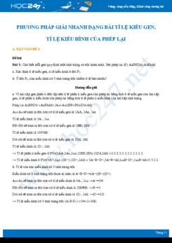 Phương pháp giải nhanh Dạng tỉ lệ kiểu gen, kiểu hình của phép lai Sinh học 12