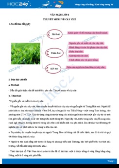 Thuyết minh về cây chè