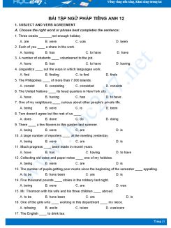 Bài tập ngữ pháp Tiếng Anh 12