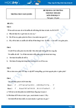 Bộ 4 Đề thi HSG môn Sinh Học 9 năm 2021 Trường THCS Ngô Quyền có đáp án