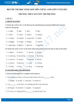 Bộ 5 đề thi học sinh giỏi môn Tiếng Anh lớp 9 năm 2021 Trường THCS Nguyễn Tri Phương