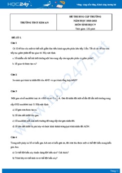 Bộ 5 Đề thi HSG môn Sinh Học 9 năm 2021 Trường THCS Kim An có đáp án