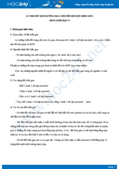 Lí thuyết bồi dưỡng HSG chuyên đề Đột biến gen môn Sinh học 9 năm 2021
