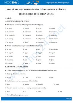 Bộ 5 đề thi học sinh giỏi môn Tiếng Anh lớp 9 năm 2021 Trường THCS Tùng Thiện Vương