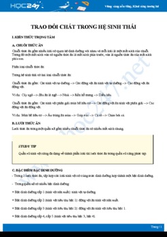 Kiến thức trọng tâm Trao đổi chất trong hệ sinh thái Sinh học 12