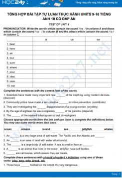 Tổng hợp bài tập tự luận thực hành Units 9-16 Tiếng Anh 10 có đáp án