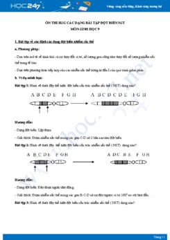 Ôn thi HSG chuyên đề Các dạng bài tập Đột Biến NST môn Sinh học 9 năm 2021