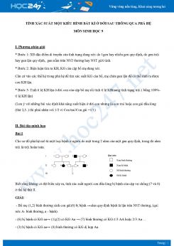 Tính xác suất một kiểu hình bất kì ở đời sau thông qua phả hệ môn Sinh học 9 năm 2021