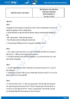 Bộ 5 Đề thi HSG môn Sinh Học 9 năm 2021 Trường THCS Tân Thới có đáp án