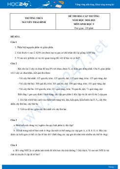 Bộ 5 Đề thi HSG môn Sinh Học 9 năm 2021 Trường THCS Nguyễn Thái Bình có đáp án