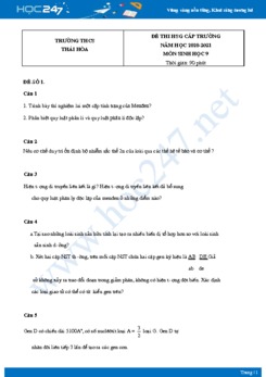 Bộ 5 Đề thi HSG môn Sinh Học 9 năm 2021 Trường THCS Thái Hòa có đáp án