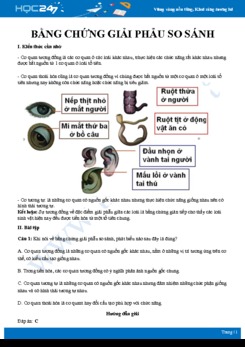 Kiến thức trọng tâm Bằng chứng giải phẫu so sánh Sinh học 12